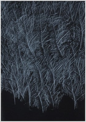 Farbstift auf Transparentpapier, ( Abdruck Blattform ) - 21 cm x 29,7 cm, - 2018 - " Natur "