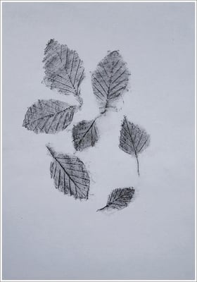 Bleistift auf Transparentpapier, ( Abdruck Blattform ) - 21 cm x 29,7 cm, - 2018 - " Natur "