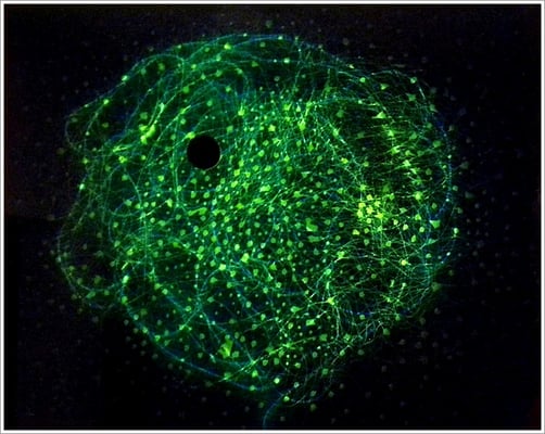 " Dunkle Energie " - 50 cm x 40 cm, Plexiglas, Leuchtmittel - 2009