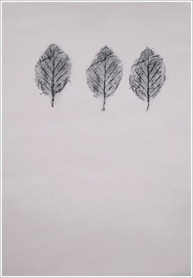 Bleistift auf Transparentpapier, ( Abdruck Blattform ) - 21 cm x 29,7 cm, - 2018 - " Natur "