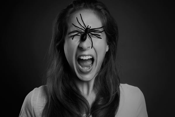 Hypnose-Level Claudia Boutellier Wettingen Hypnosetherapie bei Angst Spinnenphobie Phobie Panik etc.