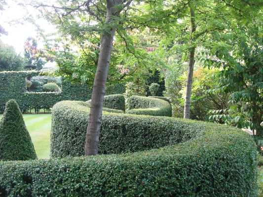 Les Jardins de Castillon, Plant Bessin