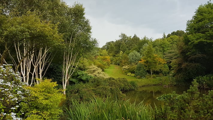 Les Etangs de Launay, Varengeville