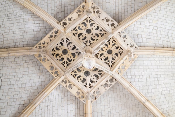 Fotografiert mit Nikon Z8 und Nikkor Z 85mm F/1.2 S in Le Trepore, Frankreich