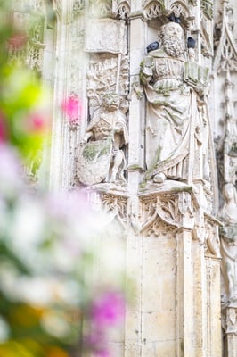 Fotografiert mit Nikon Z8 und Nikkor Z 85mm F/1.2 S in Le Trepore, Frankreich