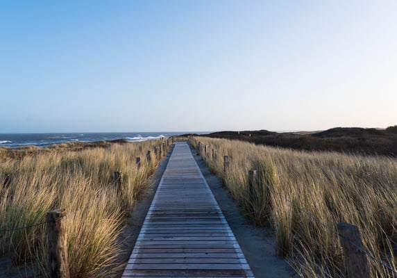 Langeoog fotografiert mit Nikon Z6 und Nikkor Z 24-70mm f/2.8.S ... Lieblingsplatz Höhenweg 
