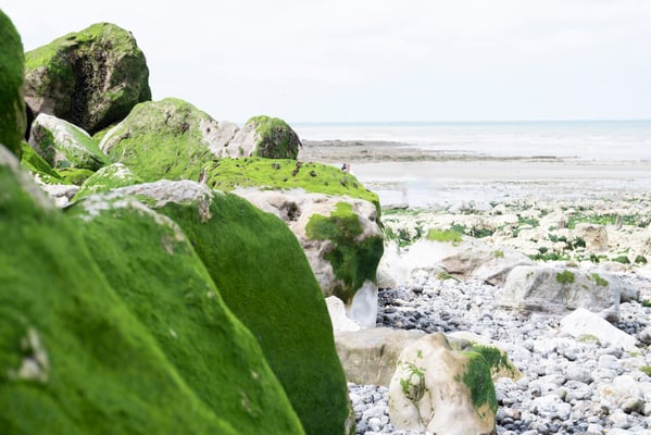 Fotografiert mit Nikon Z8 und Nikkor Z 85mm F/1.2 S