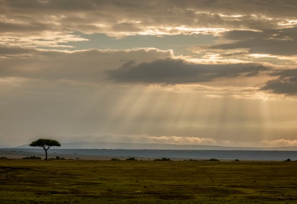 Gewitter Masai Mara, Kenia