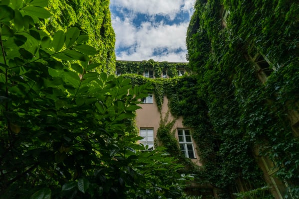 Regierungsviertel Berlin, fotografiert mit Nikon Z7 und Nikkor Z 20mm 1:1.8 S