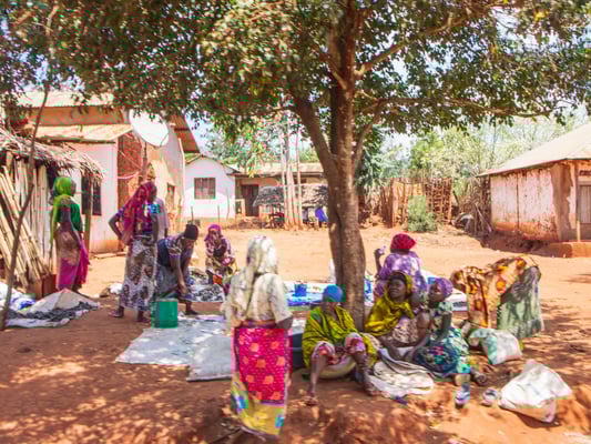 Tansania - demipress Foto Frauenreise