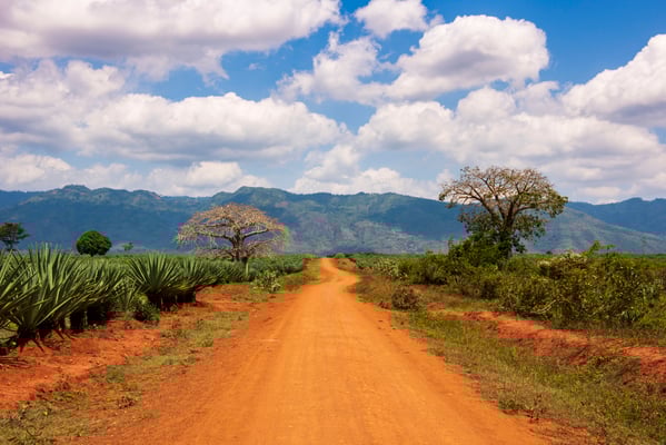 Usambara Berge Tansania