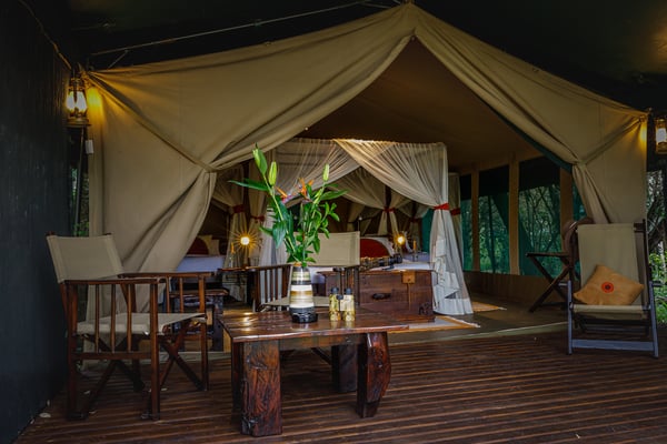 Mara Bush Camp Kenia 