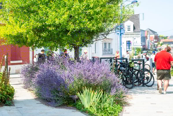 Fotografiert mit Nikon Z8 und Nikkor Z 85mm F/1.2 S in Beauvais, Frankreich