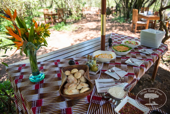 Mara Bush Camp Kenia 