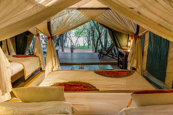 Mara Bush Camp Kenia 