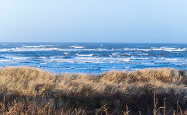 Langeoog fotografiert mit Nikon Z6 und Nikkor Z 24-70mm f/2.8.S  ... Lieblingsplatz Höhenweg 