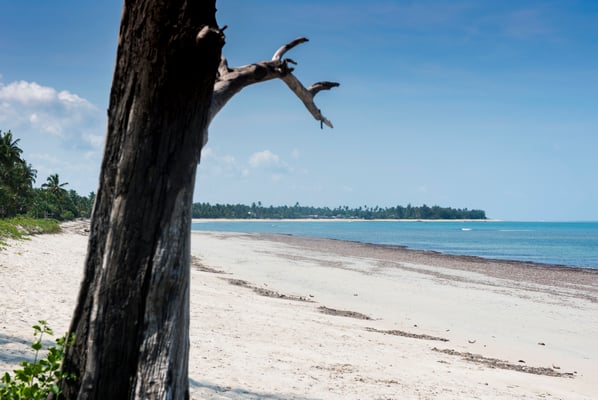 Tansania - demipress Foto Frauenreise