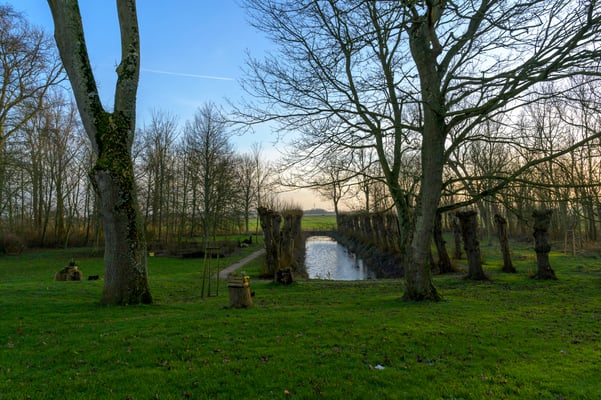 Fotografiert mit Nikon Z6 und Nikkor Z 24-70mm f/2.8.S ... Restaurant Roter Haubarg in Witzwort