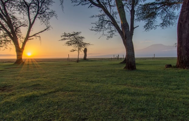 Sonnenaufgang Amboseli 