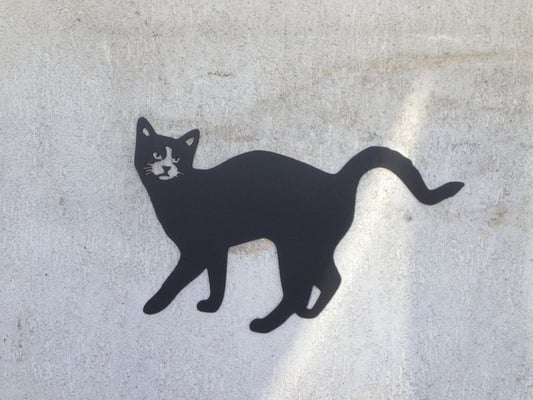le chat noir