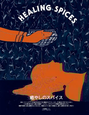 「TRANSIT35号 南インド・スリランカ スパイス香る楽園へ」（講談社 Mook） 「癒やしのスパイス」扉絵