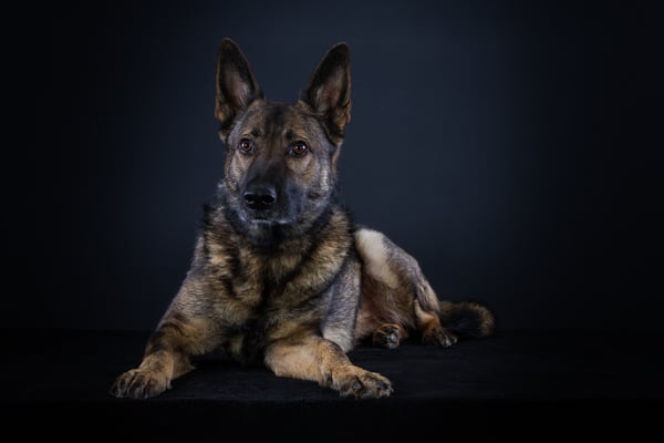 Felisha von der Gletscherhöhle