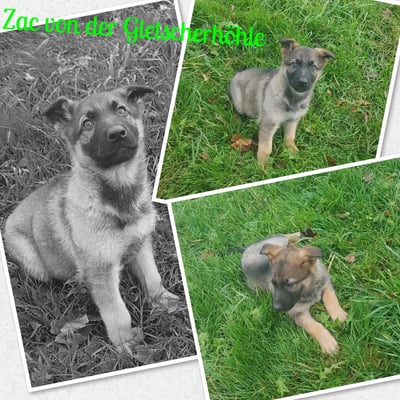 Zac von der Gletscherhöhle