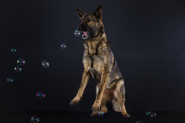 Felisha von der Gletscherhöhle