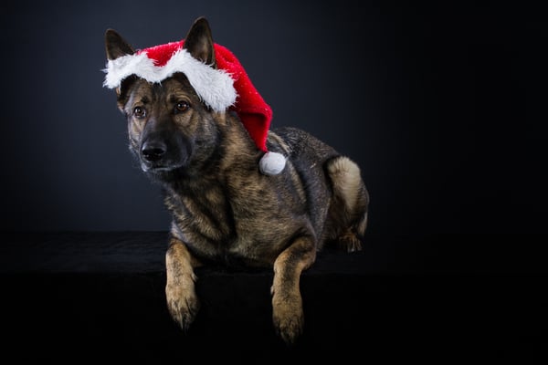 Felisha von der Gletscherhöhle