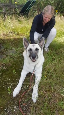 Dann scheint es aber doch gut zu tun 