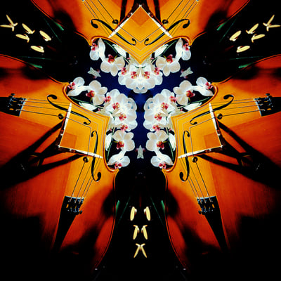 Carré fleuri - 2017