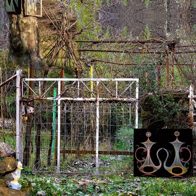 Carré de Cévennes 05 - 2019