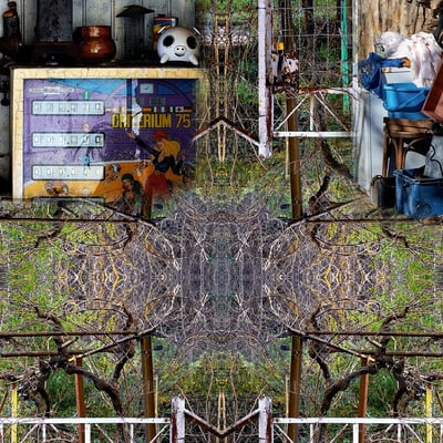 Carré de Cévennes 04 - 2019