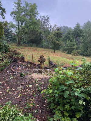 Nachher aber sauber befreites Kreuz