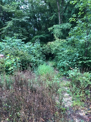 Wer findet das Kreuz ?