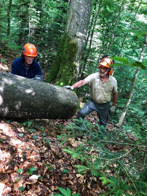 hier geht es zur Sache