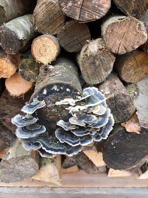 Will man kaum zerstören