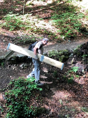 Feinverteilung der Elemente an die def. Standorte