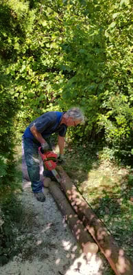 Klar, das darf nicht fehlen. Zurechtstutzen mit Motorsäge