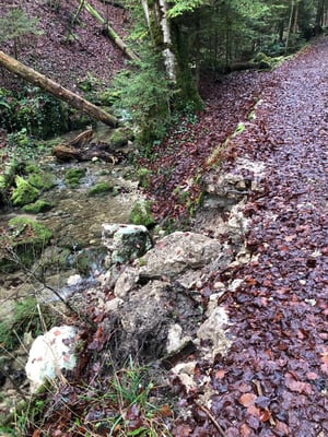 Eine Woche vor diesem Einsatz ist in der unteren Schlucht ein Stück des Wegrandes abgebrochen