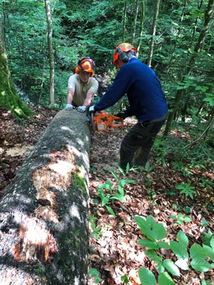 Aber für Kari kein Problem, Zahnstocher sozusagen
