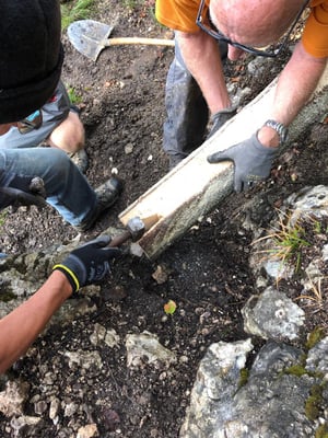 angepasst, korrigiert