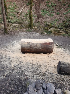 Dafür, von einer umgestürzten Tanne ein Stück zu einer Bank verarbeitet