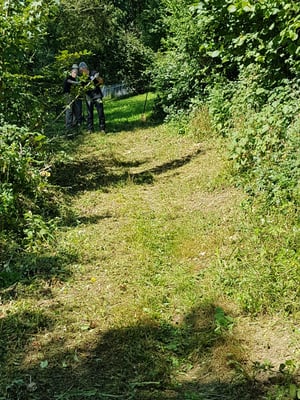 und nun sauber wieder begehbar ohne Dornen und Gestrüpp