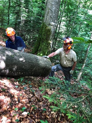 Schwere Brocken zum sägen