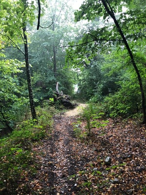 Wieder normal begehbare Wege