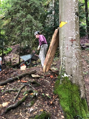 Abtransport von Geröll manuell