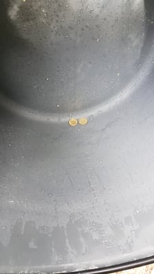 beim Waschen der Gerätschaft, findet man sogar noch Gold