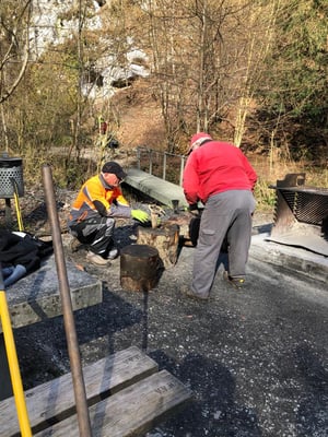 Weiter wurde fleissig geholzt