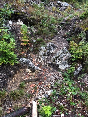Vorher. War praktisch nichts mehr vorhanden